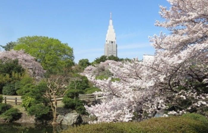 新宿お花見21 新宿 情緒あふれる桜景色を満喫 お花見おすすめ人気スポット30選 一休 Comレストラン 新宿お花見21 新宿 情緒あふれる桜景色を満喫 お花見おすすめ人気スポット30選 一休 Comレストラン