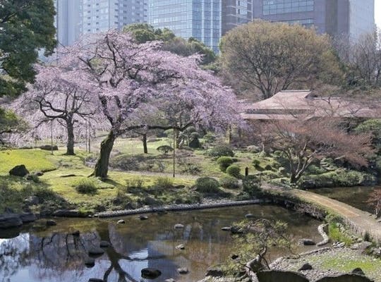 六本木ヒルズ 毛利庭園 六本木さくら坂 東京 六本木 人気お花見スポット 一休 Comレストラン 六本木ヒルズ 毛利庭園 六本木さくら坂 東京 六本木 人気お花見スポット 一休 Comレストラン