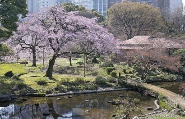 芝公園お花見22 芝公園 情緒あふれる桜景色を満喫 お花見おすすめ人気スポット30選 一休 Comレストラン 芝公園お花見22 芝公園 情緒あふれる桜景色を満喫 お花見おすすめ人気スポット30選 一休 Comレストラン
