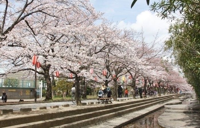 築地お花見22 築地 情緒あふれる桜景色を満喫 お花見おすすめ人気スポット30選 一休 Comレストラン 築地お花見22 築地 情緒あふれる桜景色を満喫 お花見おすすめ人気スポット30選 一休 Comレストラン