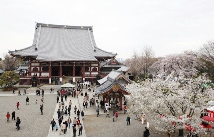 蒲田 大森 羽田周辺お花見21 蒲田 大森 羽田周辺 情緒あふれる桜景色を満喫 お花見おすすめ人気スポット30選 一休 Comレストラン 蒲田 大森 羽田周辺お花見21 蒲田 大森 羽田周辺 情緒あふれる桜景色を満喫 お花見おすすめ人気スポット30選 一休 Comレストラン