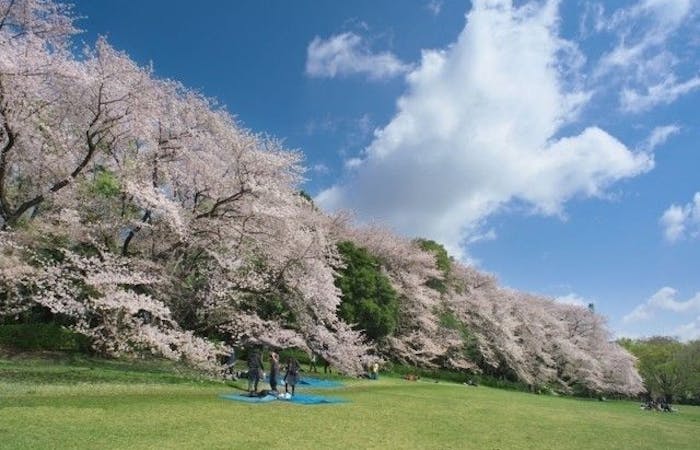 調布お花見22 調布 情緒あふれる桜景色を満喫 お花見おすすめ人気スポット30選 一休 Comレストラン 調布お花見22 調布 情緒あふれる桜景色を満喫 お花見おすすめ人気スポット30選 一休 Comレストラン