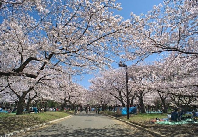 21年 東京お花見で行きたい桜名所 東京お花見におすすめ人気スポット30選 一休 Comレストラン 21年 東京お花見で行きたい桜名所 東京お花見におすすめ人気スポット30選 一休 Comレストラン