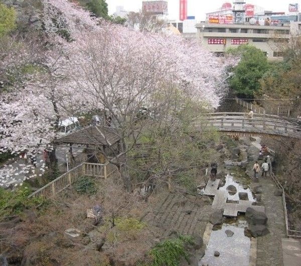 音無親水公園 東京 王子 人気お花見スポット 一休 Comレストラン 音無親水公園 東京 王子 人気お花見スポット 一休 Comレストラン