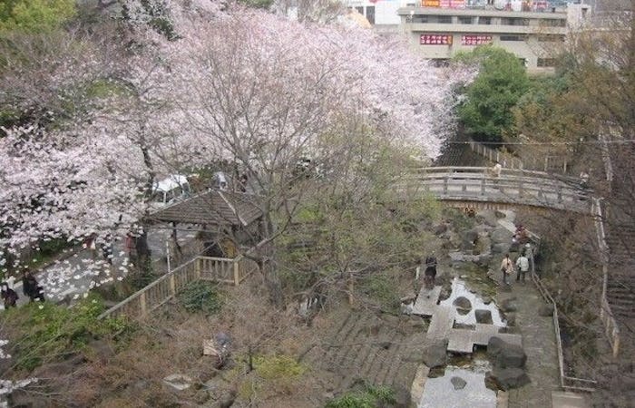川崎お花見22 川崎 情緒あふれる桜景色を満喫 お花見おすすめ人気スポット30選 一休 Comレストラン 川崎お花見22 川崎 情緒あふれる桜景色を満喫 お花見おすすめ人気スポット30選 一休 Comレストラン