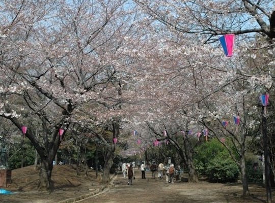水元公園 東京 葛飾 江戸川 江東 人気お花見スポット 一休 Comレストラン 水元公園 東京 葛飾 江戸川 江東 人気お花見スポット 一休 Comレストラン