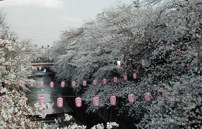 練馬お花見21 練馬 情緒あふれる桜景色を満喫 お花見おすすめ人気スポット30選 一休 Comレストラン 練馬お花見21 練馬 情緒あふれる桜景色を満喫 お花見おすすめ人気スポット30選 一休 Comレストラン