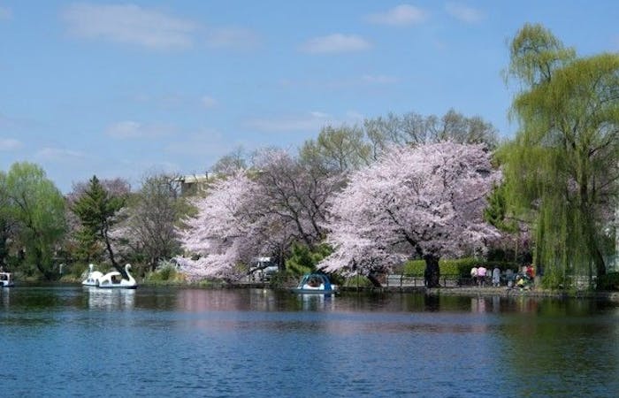練馬お花見22 練馬 情緒あふれる桜景色を満喫 お花見おすすめ人気スポット30選 一休 Comレストラン 練馬お花見22 練馬 情緒あふれる桜景色を満喫 お花見おすすめ人気スポット30選 一休 Comレストラン