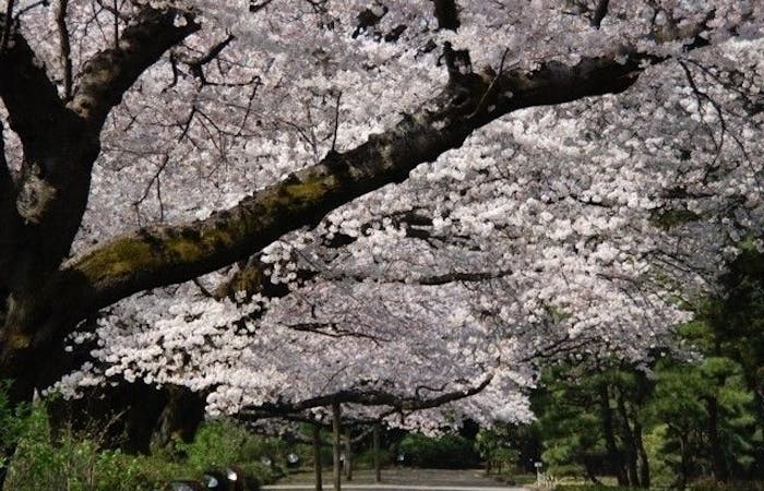 G1pgsqtop13zgm G1pgsqtop13zgm