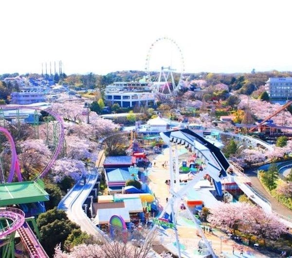 よみうりランド 東京 稲城 人気お花見スポット 一休 Comレストラン よみうりランド 東京 稲城 人気お花見スポット 一休 Comレストラン