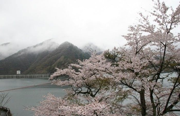奥多摩お花見21 奥多摩 情緒あふれる桜景色を満喫 お花見おすすめ人気スポット21選 一休 Comレストラン 奥多摩お花見21 奥多摩 情緒あふれる桜景色を満喫 お花見おすすめ人気スポット21選 一休 Comレストラン