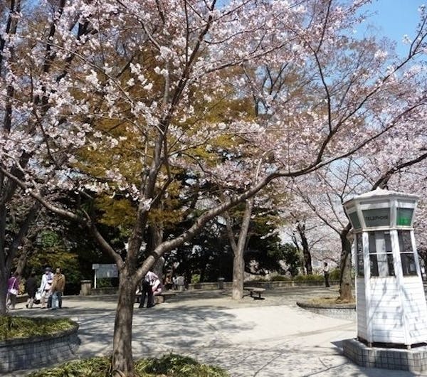 元町公園 神奈川 横浜 人気お花見スポット 一休 Comレストラン 元町公園 神奈川 横浜 人気お花見スポット 一休 Comレストラン