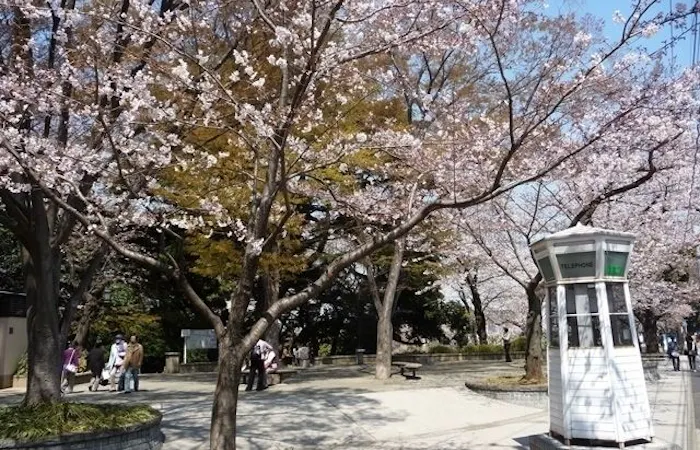 川崎お花見21 川崎 情緒あふれる桜景色を満喫 お花見おすすめ人気スポット30選 一休 Comレストラン 川崎お花見21 川崎 情緒あふれる桜景色を満喫 お花見おすすめ人気スポット30選 一休 Comレストラン