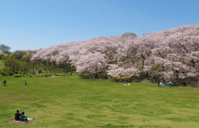 川崎お花見22 川崎 情緒あふれる桜景色を満喫 お花見おすすめ人気スポット30選 一休 Comレストラン 川崎お花見22 川崎 情緒あふれる桜景色を満喫 お花見おすすめ人気スポット30選 一休 Comレストラン