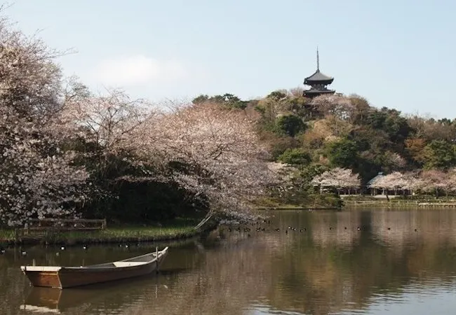 21年 神奈川お花見で行きたい桜名所 神奈川お花見におすすめ人気スポット選 一休 Comレストラン 21年 神奈川お花見で行きたい桜名所 神奈川お花見におすすめ人気スポット選 一休 Comレストラン