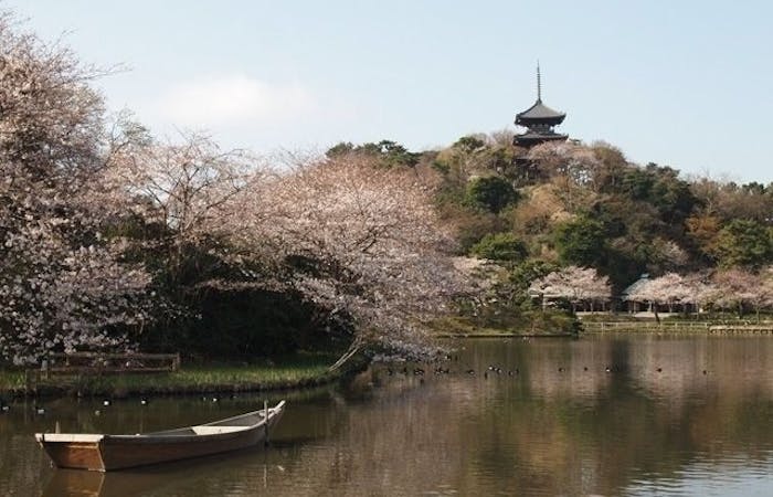 横浜お花見22 横浜 情緒あふれる桜景色を満喫 お花見おすすめ人気スポット30選 一休 Comレストラン 横浜お花見22 横浜 情緒あふれる桜景色を満喫 お花見おすすめ人気スポット30選 一休 Comレストラン