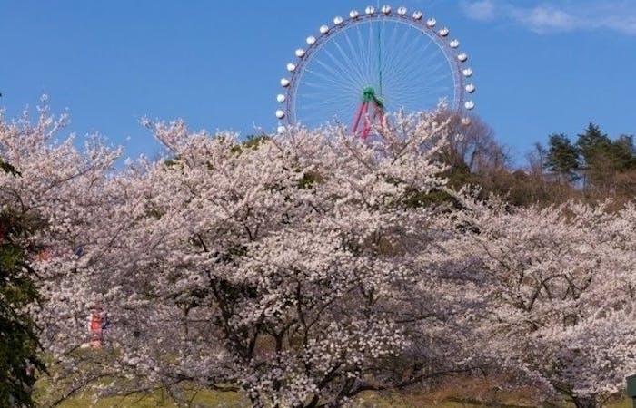 相模原市お花見21 相模原市 情緒あふれる桜景色を満喫 お花見おすすめ人気スポット29選 一休 Comレストラン 相模原市お花見21 相模原市 情緒あふれる桜景色を満喫 お花見おすすめ人気スポット29選 一休 Comレストラン