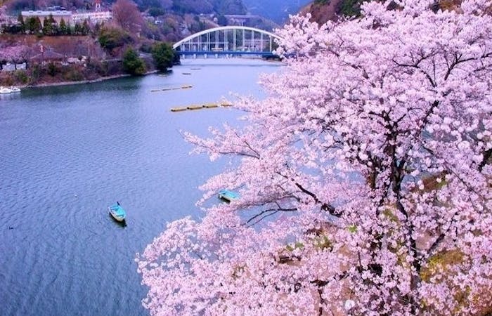 八王子お花見22 八王子 情緒あふれる桜景色を満喫 お花見おすすめ人気スポット30選 一休 Comレストラン 八王子お花見22 八王子 情緒あふれる桜景色を満喫 お花見おすすめ人気スポット30選 一休 Comレストラン
