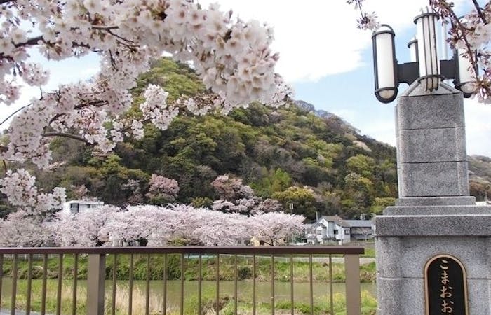 湘南お花見21 湘南 情緒あふれる桜景色を満喫 お花見おすすめ人気スポット27選 一休 Comレストラン 湘南お花見21 湘南 情緒あふれる桜景色を満喫 お花見おすすめ人気スポット27選 一休 Comレストラン
