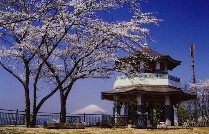 足柄 秦野お花見22 足柄 秦野 情緒あふれる桜景色を満喫 お花見おすすめ人気スポット15選 一休 Comレストラン 足柄 秦野お花見22 足柄 秦野 情緒あふれる桜景色を満喫 お花見おすすめ人気スポット15選 一休 Comレストラン