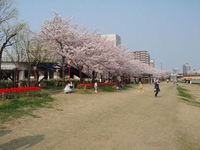 新潟市お花見2021 新潟市 情緒あふれる桜景色を満喫 お花見おすすめ人気スポット9選 一休 Comレストラン