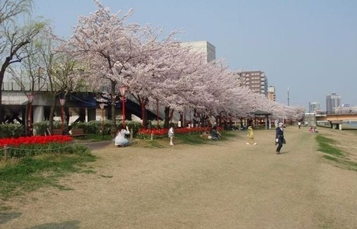 新潟市お花見2021 新潟市 情緒あふれる桜景色を満喫 お花見おすすめ人気スポット9選 一休 Comレストラン