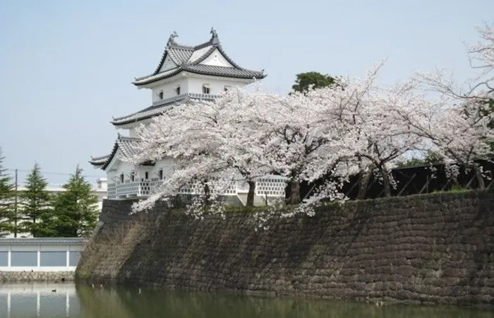新潟市お花見22 新潟市 情緒あふれる桜景色を満喫 お花見おすすめ人気スポット9選 一休 Comレストラン 新潟市お花見22 新潟市 情緒あふれる桜景色を満喫 お花見おすすめ人気スポット9選 一休 Comレストラン