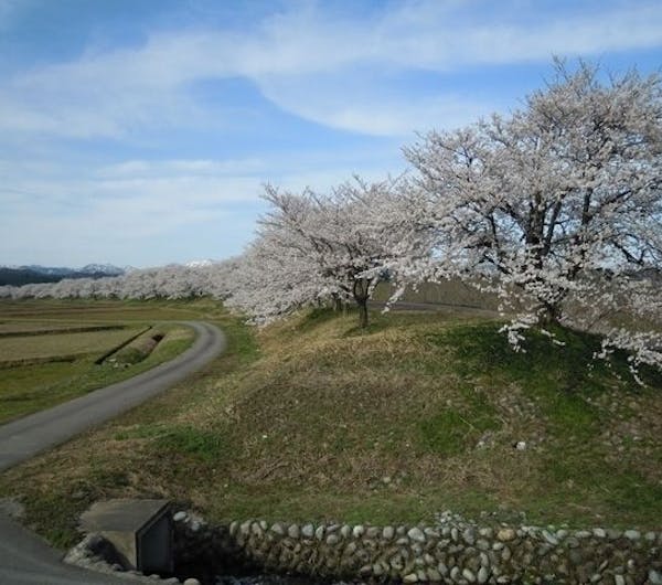 一休レストラン