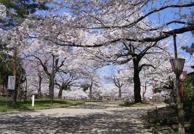 21年 北陸お花見で行きたい桜名所 北陸お花見におすすめ人気スポット25選 一休 Comレストラン 21年 北陸お花見で行きたい桜名所 北陸お花見におすすめ人気スポット25選 一休 Comレストラン