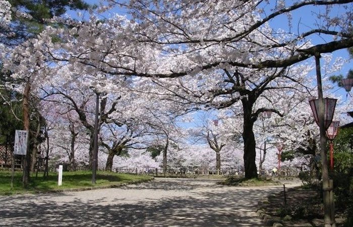 高岡お花見21 高岡 情緒あふれる桜景色を満喫 お花見おすすめ人気スポット12選 一休 Comレストラン 高岡お花見21 高岡 情緒あふれる桜景色を満喫 お花見おすすめ人気スポット12選 一休 Comレストラン