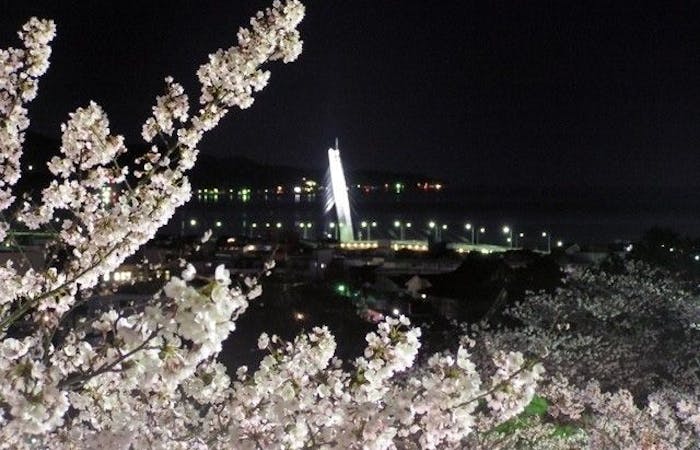 氷見お花見21 氷見 情緒あふれる桜景色を満喫 お花見おすすめ人気スポット12選 一休 Comレストラン 氷見お花見21 氷見 情緒あふれる桜景色を満喫 お花見おすすめ人気スポット12選 一休 Comレストラン