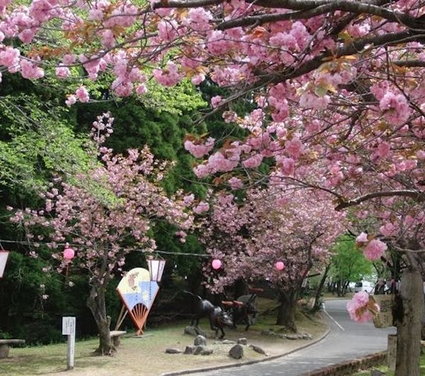 倶利伽羅県定公園 富山 砺波 小矢部 人気お花見スポット 一休 Comレストラン 倶利伽羅県定公園 富山 砺波 小矢部 人気お花見スポット 一休 Comレストラン
