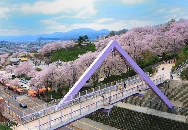 21年 北陸お花見で行きたい桜名所 北陸お花見におすすめ人気スポット25選 一休 Comレストラン 21年 北陸お花見で行きたい桜名所 北陸お花見におすすめ人気スポット25選 一休 Comレストラン