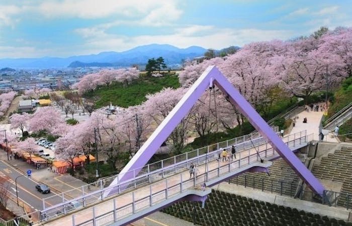 鯖江お花見21 鯖江 情緒あふれる桜景色を満喫 お花見おすすめ人気スポット8選 一休 Comレストラン 鯖江お花見21 鯖江 情緒あふれる桜景色を満喫 お花見おすすめ人気スポット8選 一休 Comレストラン