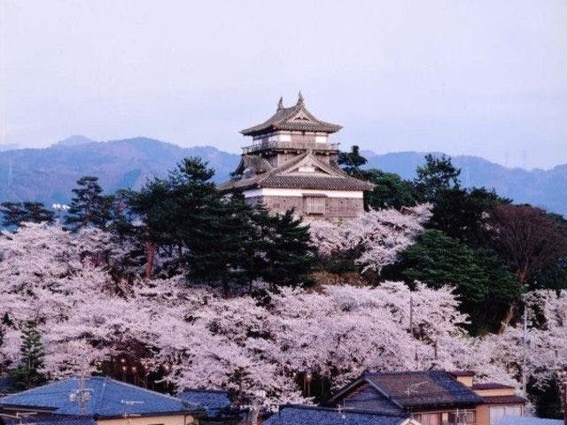 三国 あわらお花見22 三国 あわら 情緒あふれる桜景色を満喫 お花見おすすめ人気スポット7選 一休 Comレストラン