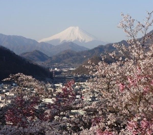 真木お伊勢山 山梨 大月 都留 人気お花見スポット 一休 Comレストラン 真木お伊勢山 山梨 大月 都留 人気お花見スポット 一休 Comレストラン