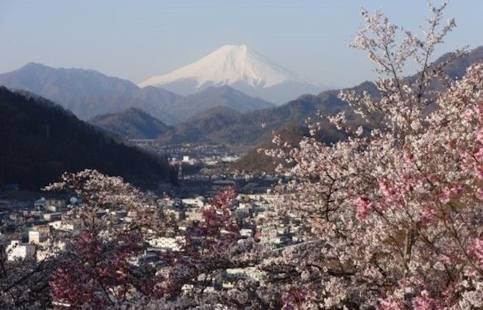 甲府お花見21 甲府 情緒あふれる桜景色を満喫 お花見おすすめ人気スポット15選 一休 Comレストラン 甲府お花見21 甲府 情緒あふれる桜景色を満喫 お花見おすすめ人気スポット15選 一休 Comレストラン