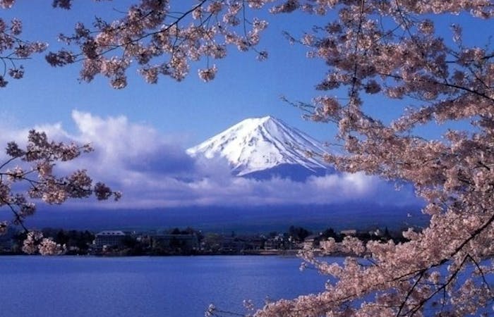 河口湖お花見21 河口湖 情緒あふれる桜景色を満喫 お花見おすすめ人気スポット13選 一休 Comレストラン 河口湖お花見21 河口湖 情緒あふれる桜景色を満喫 お花見おすすめ人気スポット13選 一休 Comレストラン
