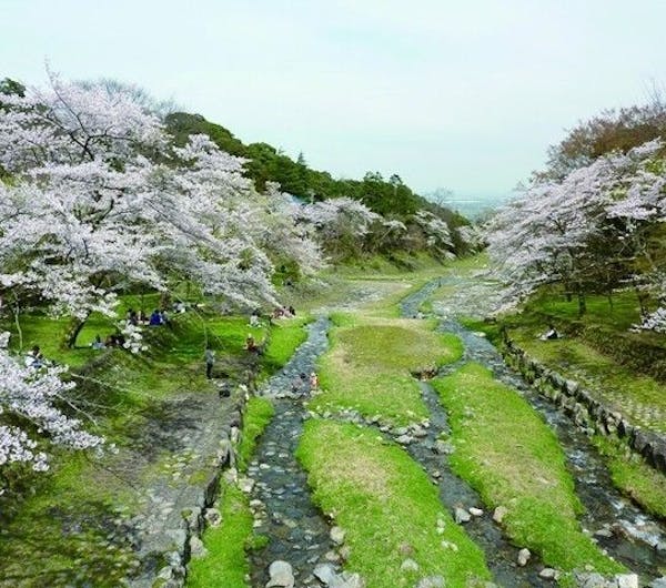 養老公園 岐阜 岐阜 大垣 養老 人気お花見スポット 一休 Comレストラン 養老公園 岐阜 岐阜 大垣 養老 人気お花見スポット 一休 Comレストラン