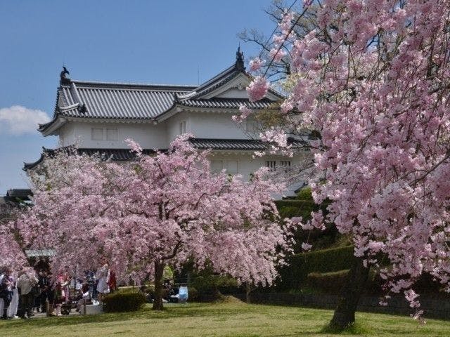 駿府城公園 | 静岡 静岡市 人気お花見スポット - [一休.comレストラン]