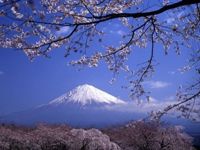 日本平 静岡 静岡市 人気お花見スポット 一休 Comレストラン