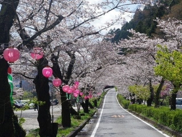 伊豆高原お花見22 伊豆高原 情緒あふれる桜景色を満喫 お花見おすすめ人気スポット13選 一休 Comレストラン