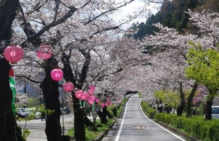 伊豆高原お花見22 伊豆高原 情緒あふれる桜景色を満喫 お花見おすすめ人気スポット13選 一休 Comレストラン 伊豆高原お花見22 伊豆高原 情緒あふれる桜景色を満喫 お花見おすすめ人気スポット13選 一休 Comレストラン