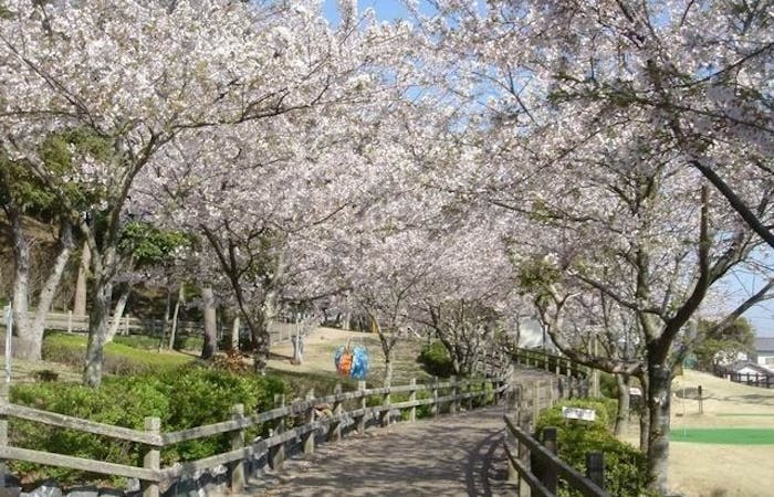 焼津 御前崎 牧之原お花見21 焼津 御前崎 牧之原 情緒あふれる桜景色を満喫 お花見おすすめ人気スポット15選 一休 Comレストラン 焼津 御前崎 牧之原お花見21 焼津 御前崎 牧之原 情緒あふれる桜景色を満喫 お花見おすすめ人気スポット15選 一休 Comレストラン
