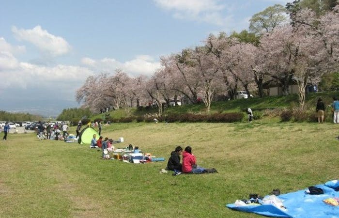 伊豆お花見22 伊豆 情緒あふれる桜景色を満喫 お花見おすすめ人気スポット14選 一休 Comレストラン 伊豆お花見22 伊豆 情緒あふれる桜景色を満喫 お花見おすすめ人気スポット14選 一休 Comレストラン
