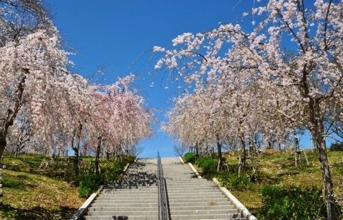 名古屋お花見21 名古屋 情緒あふれる桜景色を満喫 お花見おすすめ人気スポット27選 一休 Comレストラン 名古屋お花見21 名古屋 情緒あふれる桜景色を満喫 お花見おすすめ人気スポット27選 一休 Comレストラン