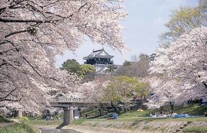 岡崎お花見22 岡崎 情緒あふれる桜景色を満喫 お花見おすすめ人気スポット17選 一休 Comレストラン 岡崎お花見22 岡崎 情緒あふれる桜景色を満喫 お花見おすすめ人気スポット17選 一休 Comレストラン