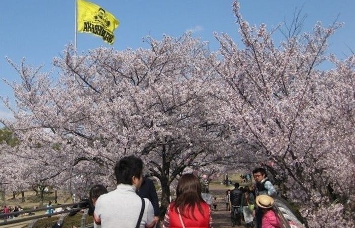 豊田 みよしお花見21 豊田 みよし 情緒あふれる桜景色を満喫 お花見おすすめ人気スポット21選 一休 Comレストラン 豊田 みよしお花見21 豊田 みよし 情緒あふれる桜景色を満喫 お花見おすすめ人気スポット21選 一休 Comレストラン