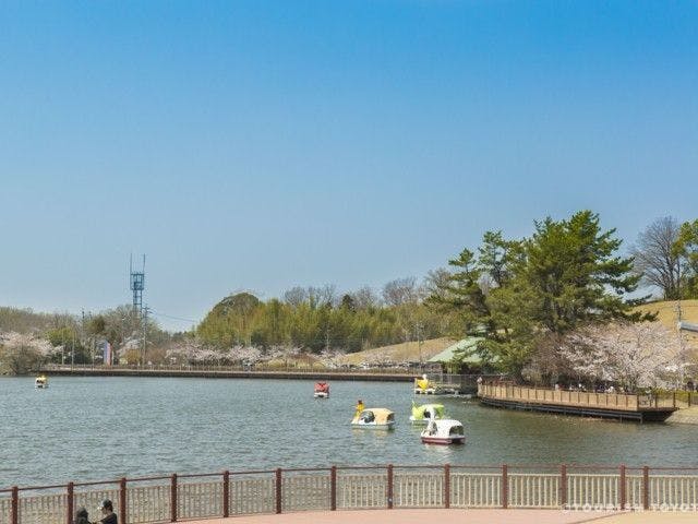 豊田 みよしお花見21 豊田 みよし 情緒あふれる桜景色を満喫 お花見おすすめ人気スポット21選 一休 Comレストラン