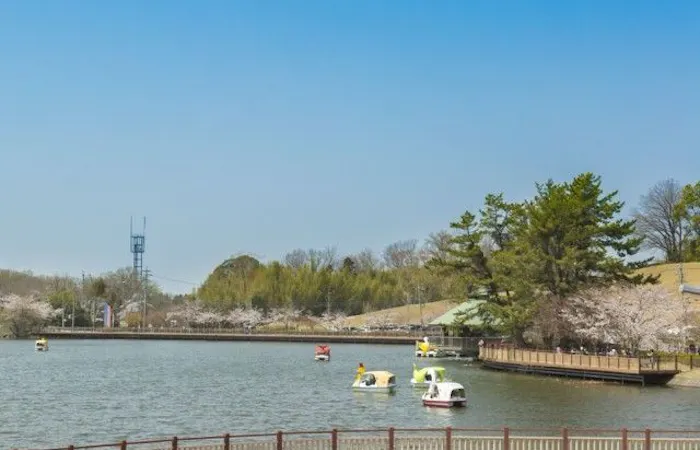 豊田 みよしお花見22 豊田 みよし 情緒あふれる桜景色を満喫 お花見おすすめ人気スポット21選 一休 Comレストラン 豊田 みよしお花見22 豊田 みよし 情緒あふれる桜景色を満喫 お花見おすすめ人気スポット21選 一休 Comレストラン